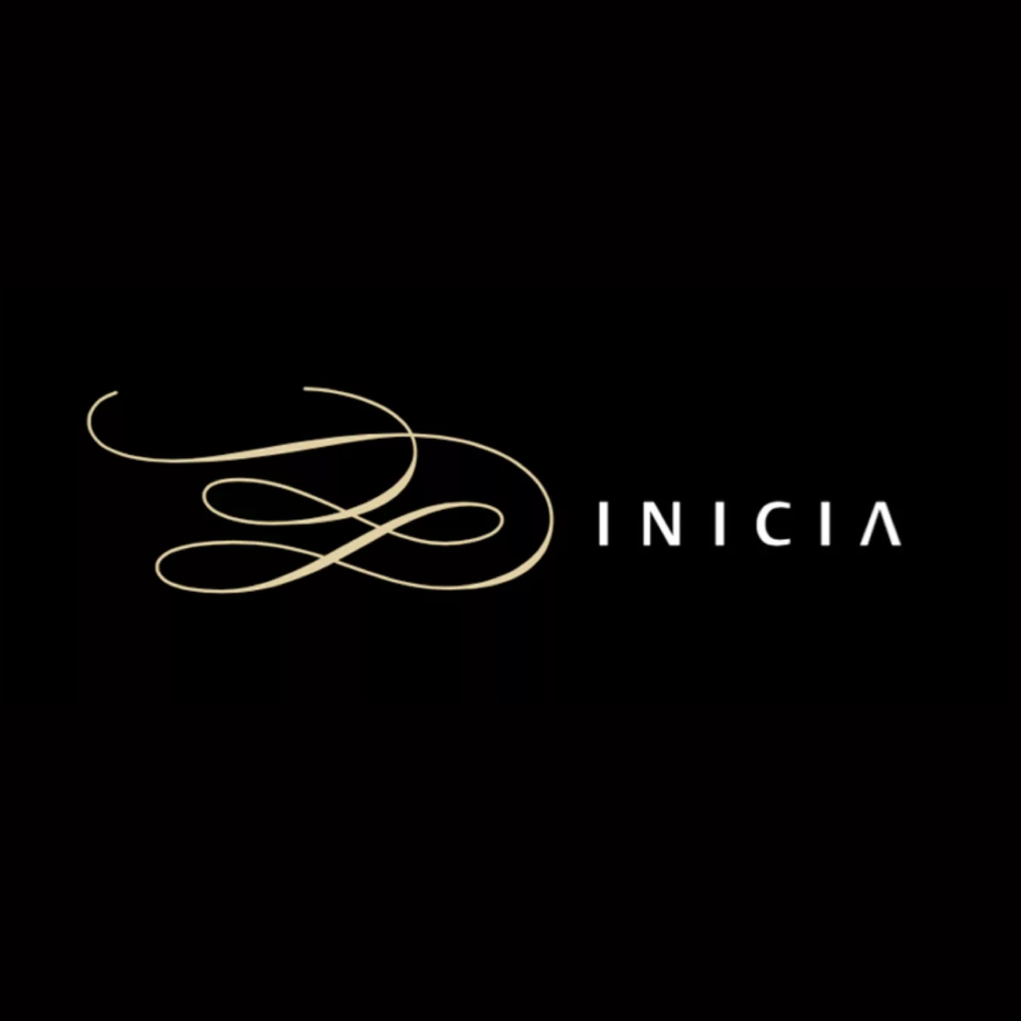 Grupo INICIA